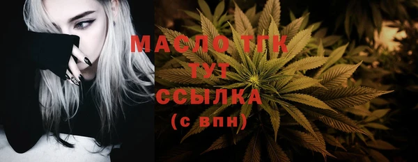 скорость Гусев