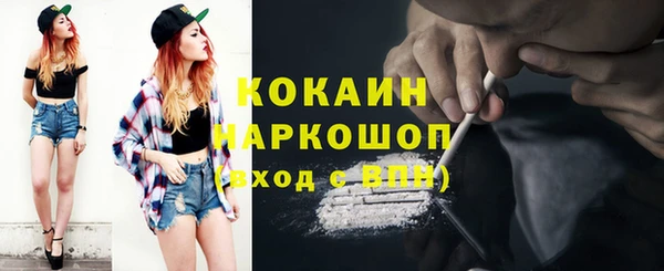 скорость Гусев