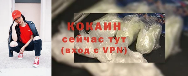 Альфа ПВП Дмитриев