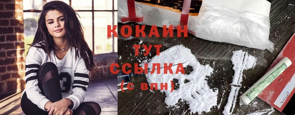 скорость Гусев