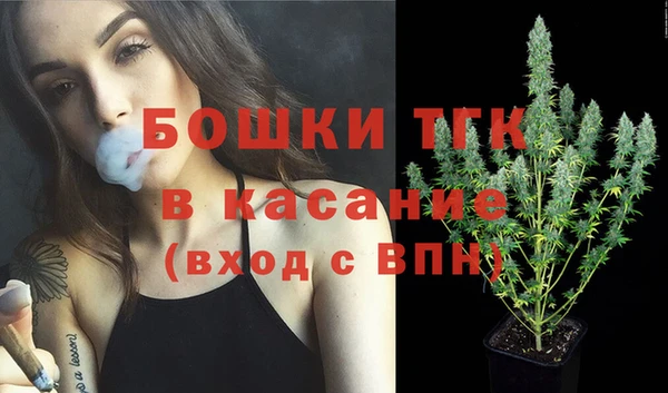 винт Дмитров