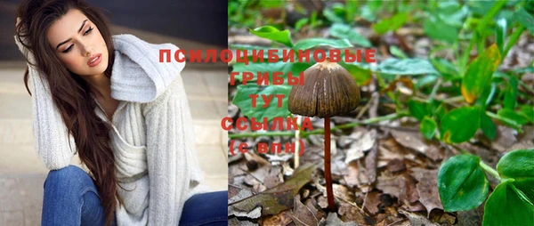 Альфа ПВП Дмитриев