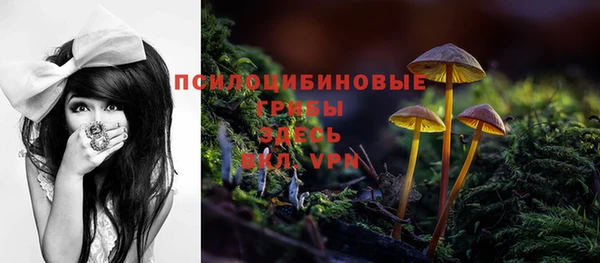 скорость Гусев